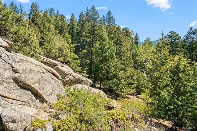 6361 Canyon Creek Road Evergreen, CO 80439