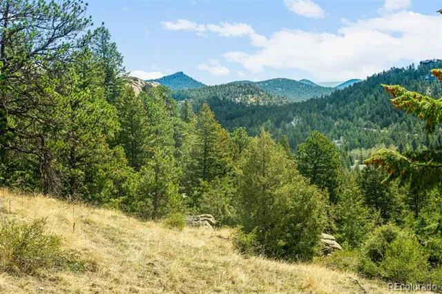 6361 Canyon Creek Road Evergreen, CO 80439