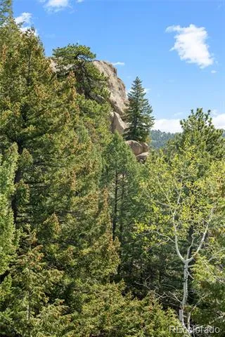 6361 Canyon Creek Road Evergreen, CO 80439