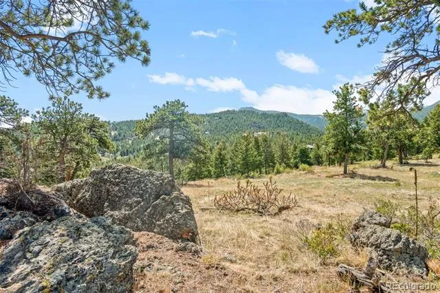6361 Canyon Creek Road Evergreen, CO 80439