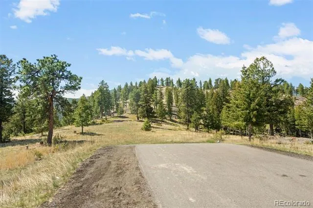 6361 Canyon Creek Road Evergreen, CO 80439