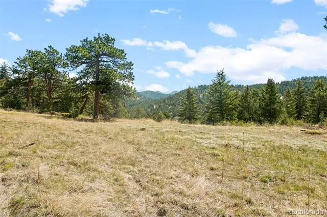 6361 Canyon Creek Road Evergreen, CO 80439