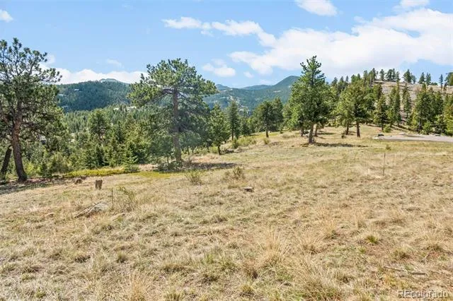 6361 Canyon Creek Road Evergreen, CO 80439