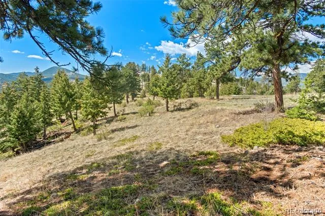 6361 Canyon Creek Road Evergreen, CO 80439