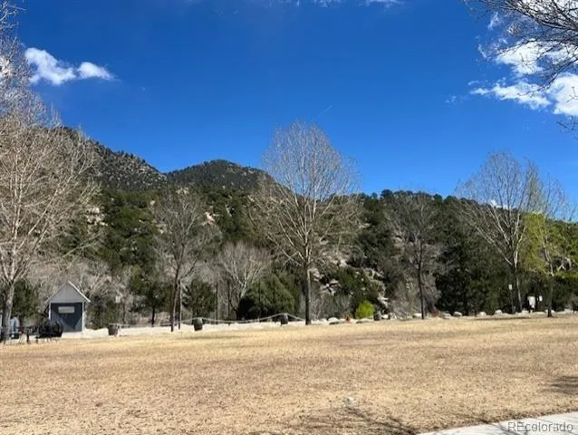 547 Arizona Street Buena Vista, CO 81211