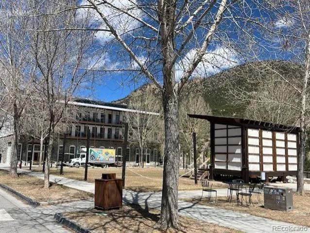 547 Arizona Street Buena Vista, CO 81211