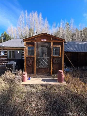 316 Main Bonanza, CO 81155