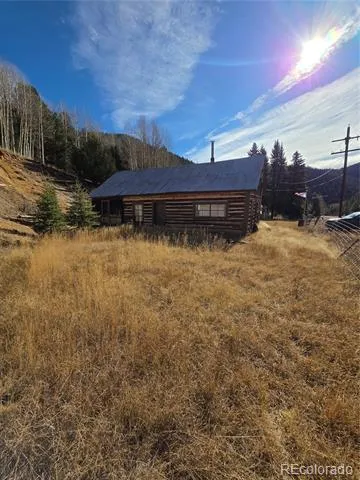 316 Main Bonanza, CO 81155