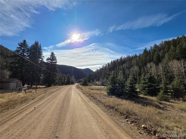 316 Main Bonanza, CO 81155