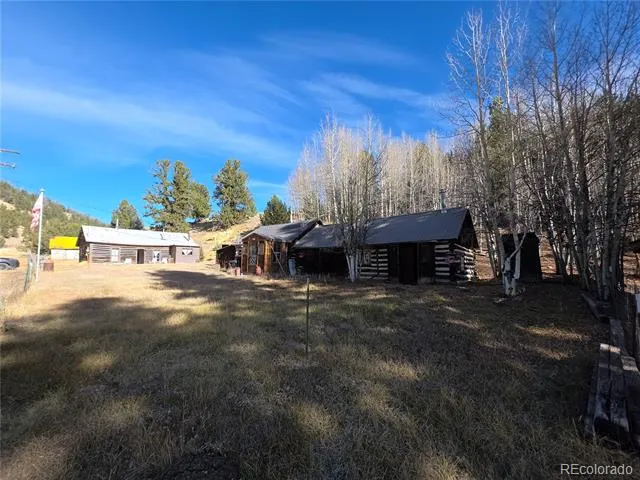 316 Main Bonanza, CO 81155
