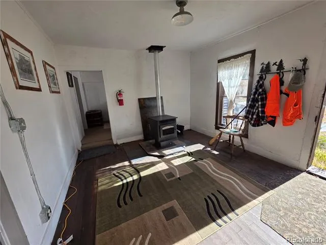 316 Main Bonanza, CO 81155