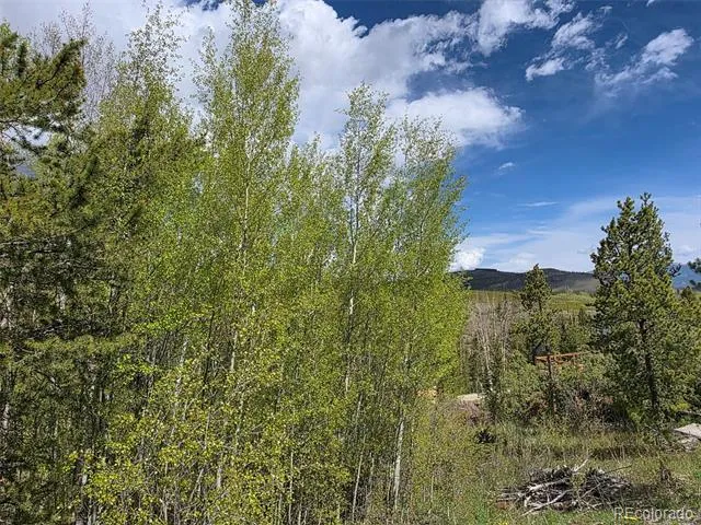 90 Shadows Drive Breckenridge, CO 80424