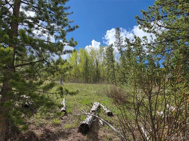 90 Shadows Drive Breckenridge, CO 80424
