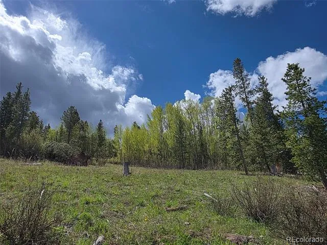 90 Shadows Drive Breckenridge, CO 80424
