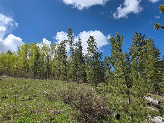 90 Shadows Drive Breckenridge, CO 80424