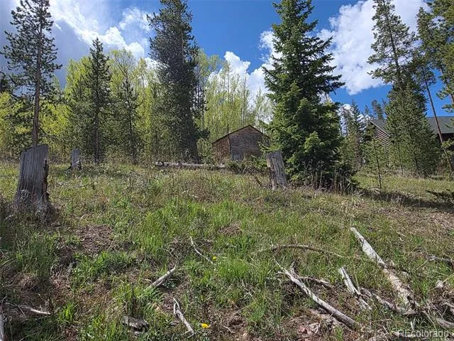 90 Shadows Drive Breckenridge, CO 80424