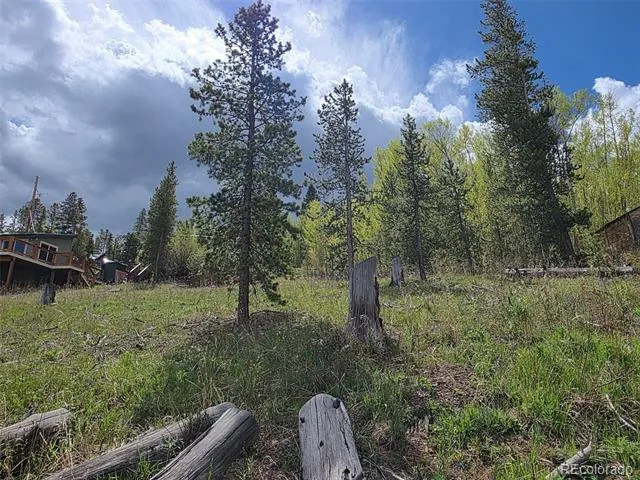 90 Shadows Drive Breckenridge, CO 80424