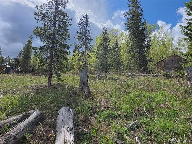 90 Shadows Drive Breckenridge, CO 80424