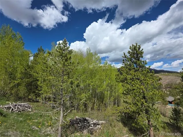 90 Shadows Drive Breckenridge, CO 80424