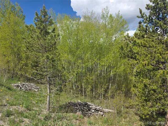 90 Shadows Drive Breckenridge, CO 80424
