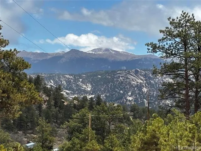 210 Crescent Drive Florissant, CO 80816