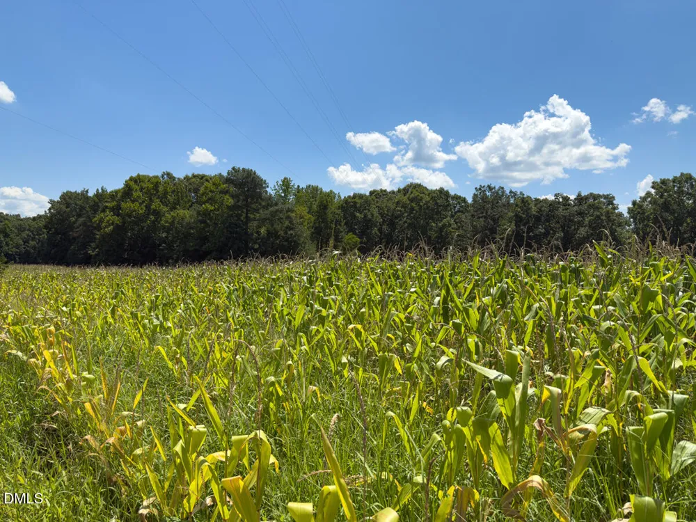 00 Oxford Road Rougemont, NC 27572