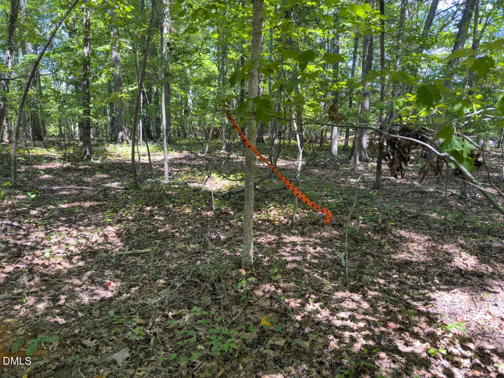 00 Oxford Road Rougemont, NC 27572