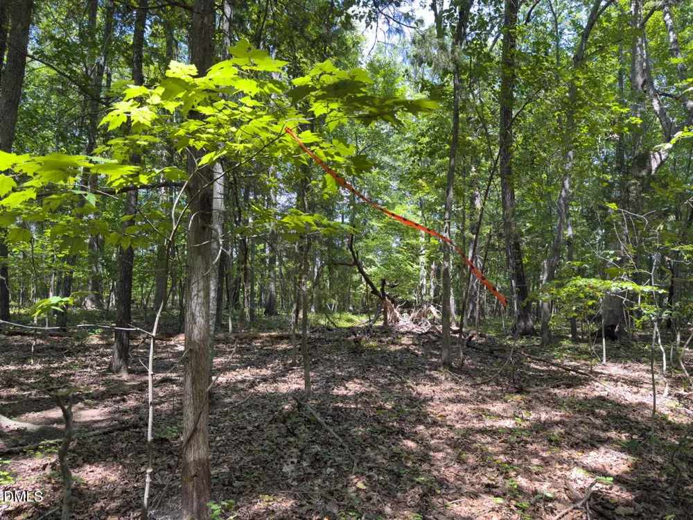 00 Oxford Road Rougemont, NC 27572