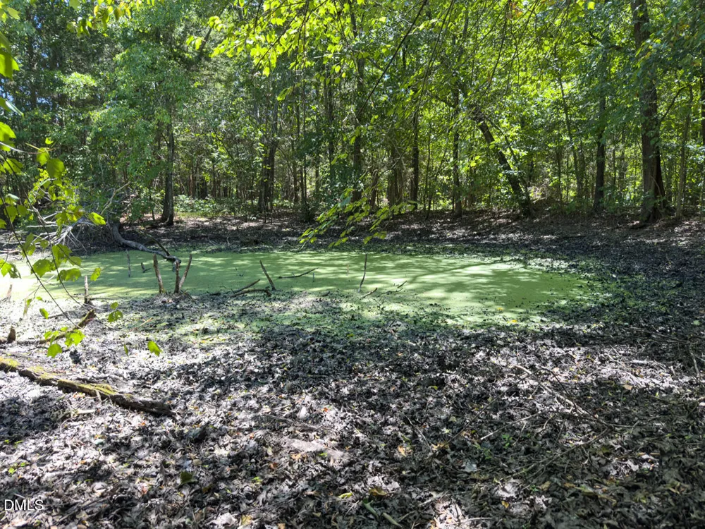 00 Oxford Road Rougemont, NC 27572