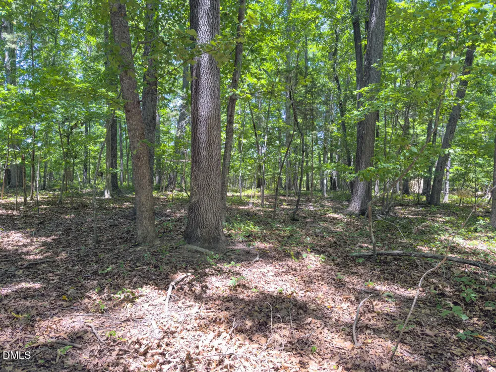 00 Oxford Road Rougemont, NC 27572