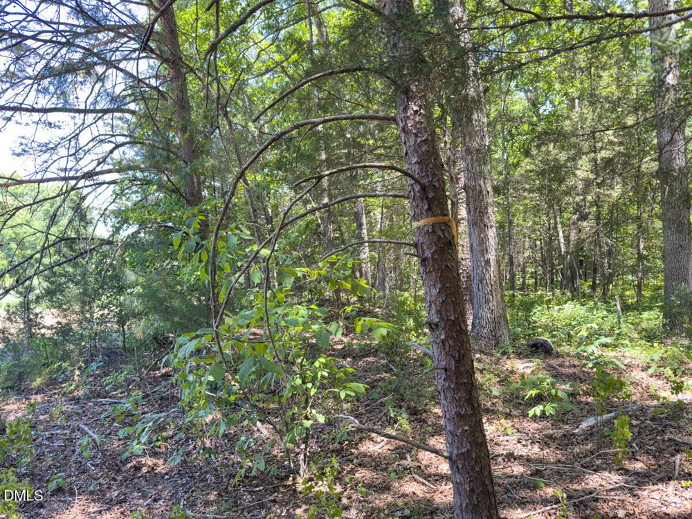 00 Oxford Road Rougemont, NC 27572