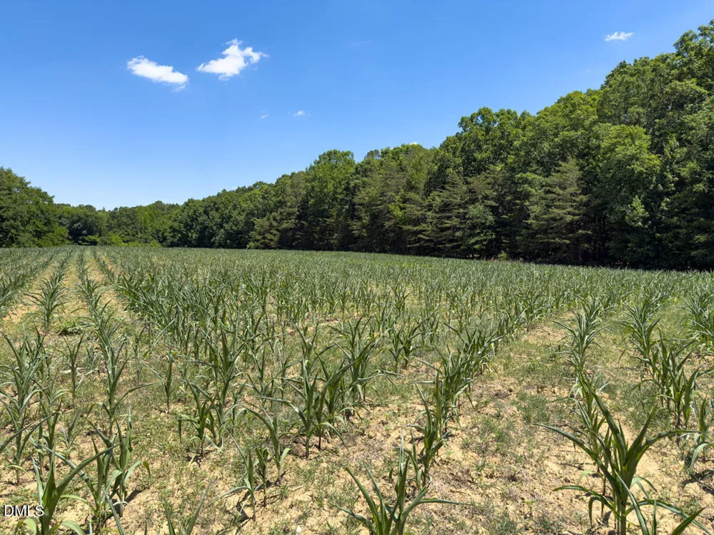 00 Oxford Road Rougemont, NC 27572