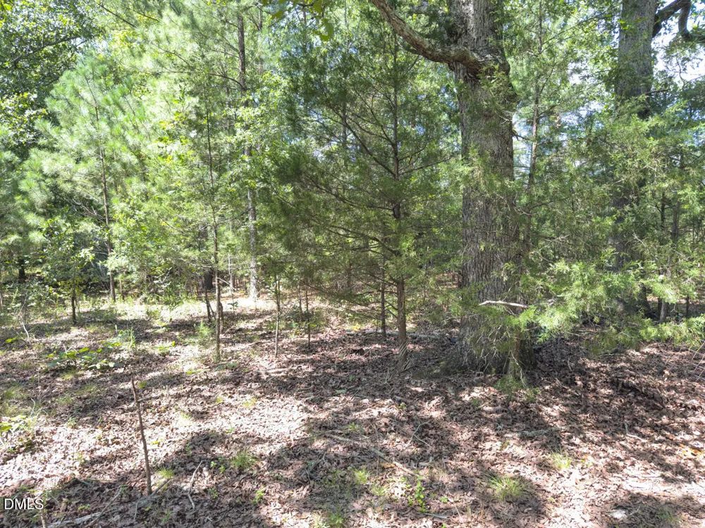 00 Oxford Road Rougemont, NC 27572