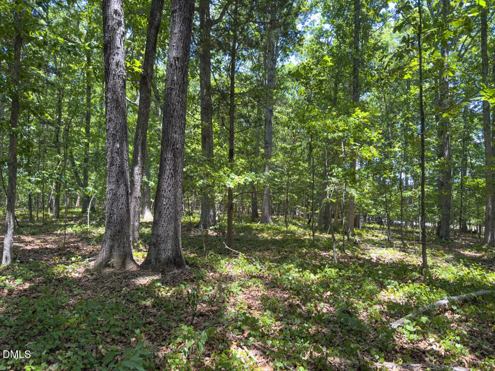 00 Oxford Road Rougemont, NC 27572