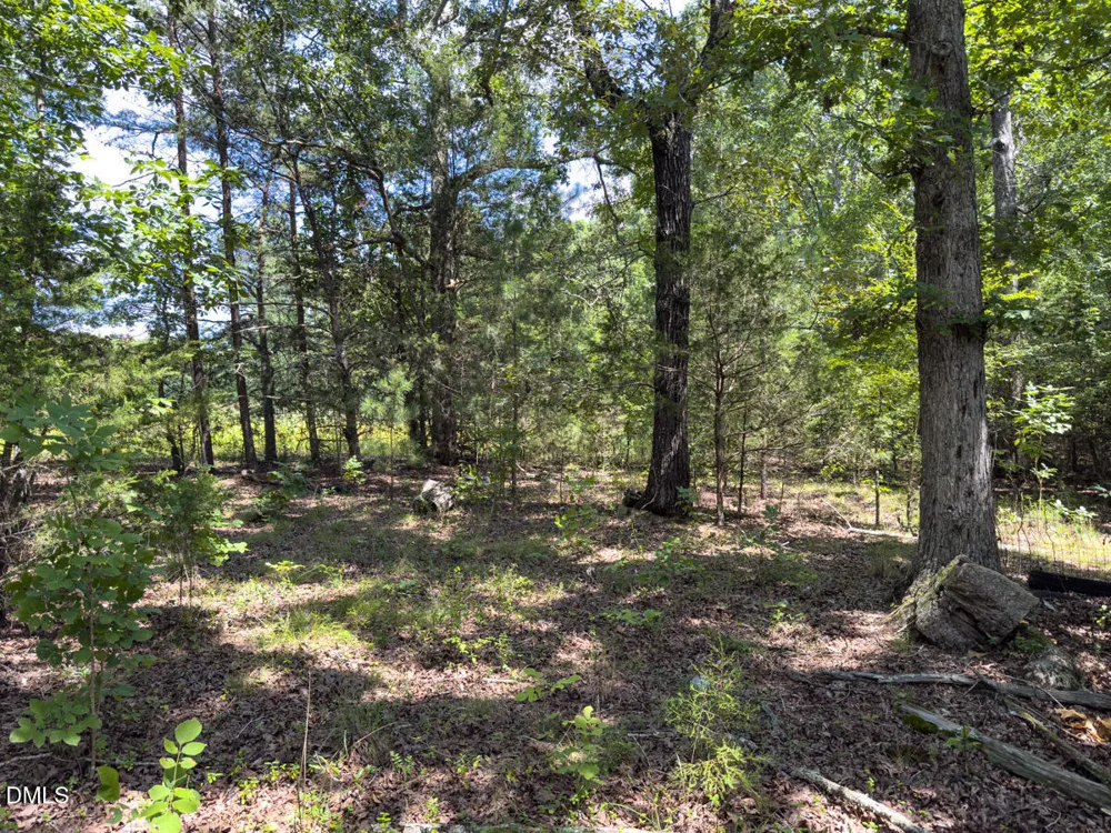 00 Oxford Road Rougemont, NC 27572