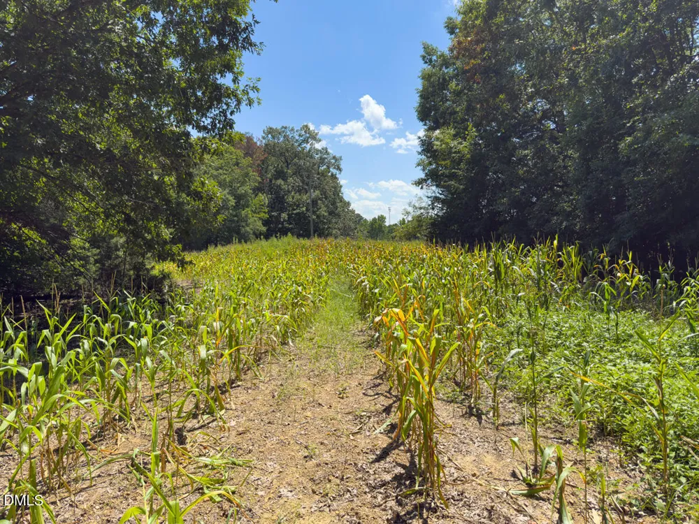 00 Oxford Road Rougemont, NC 27572