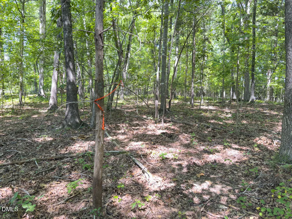 00 Oxford Road Rougemont, NC 27572