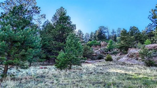 83 Penrose Circle Cripple Creek, CO 80813
