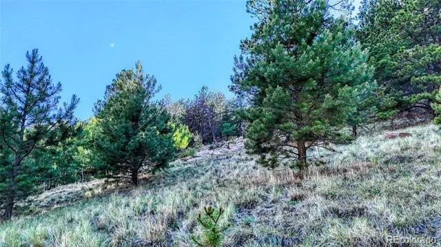 83 Penrose Circle Cripple Creek, CO 80813