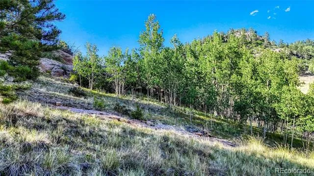 83 Penrose Circle Cripple Creek, CO 80813