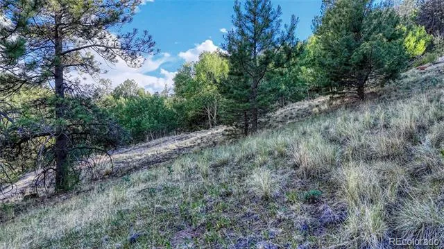 83 Penrose Circle Cripple Creek, CO 80813