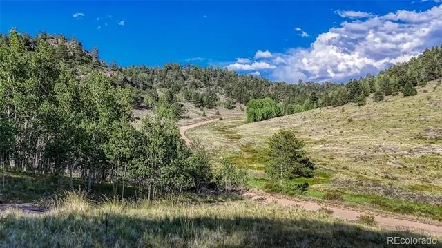 83 Penrose Circle Cripple Creek, CO 80813