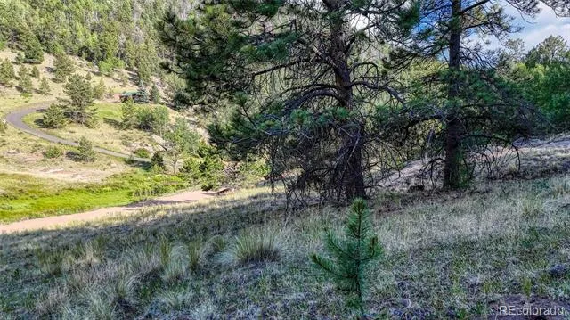 83 Penrose Circle Cripple Creek, CO 80813