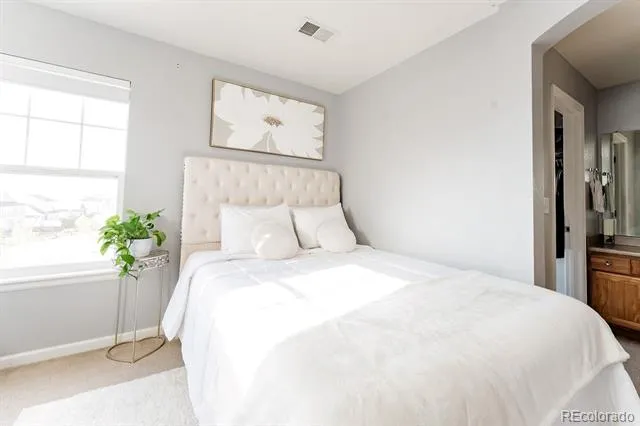 3887 Ute Mountain Trail Castle Rock, CO 80109