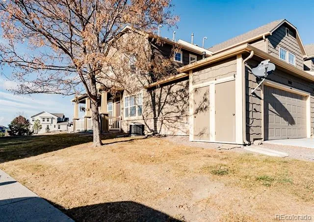 3887 Ute Mountain Trail Castle Rock, CO 80109