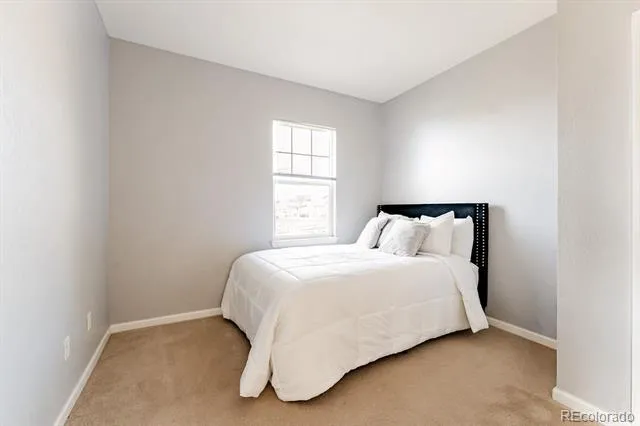 3887 Ute Mountain Trail Castle Rock, CO 80109