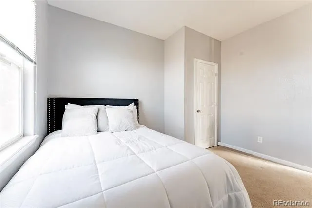 3887 Ute Mountain Trail Castle Rock, CO 80109