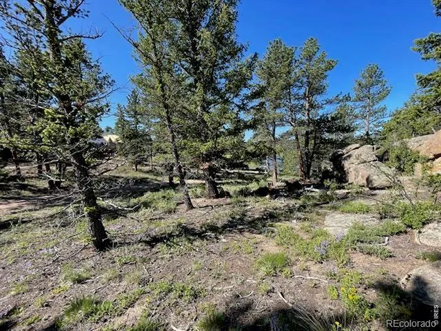 3086 Fox Acres Drive E Red Feather Lakes, CO 80545