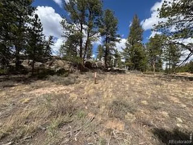 3086 Fox Acres Drive E Red Feather Lakes, CO 80545
