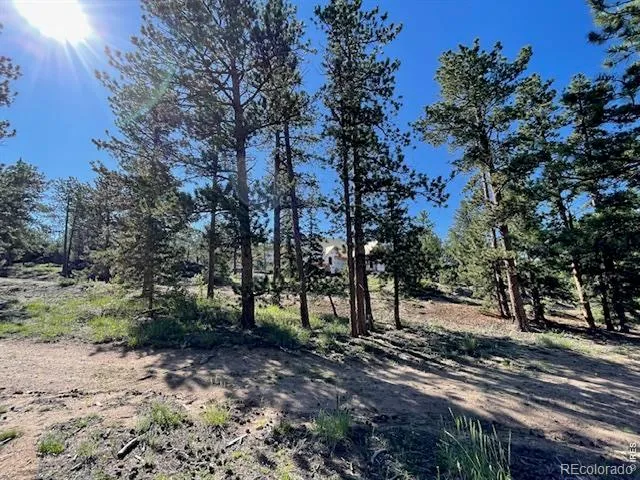 3086 Fox Acres Drive E Red Feather Lakes, CO 80545